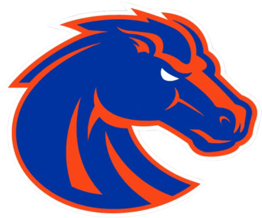 Boise State University Broncos